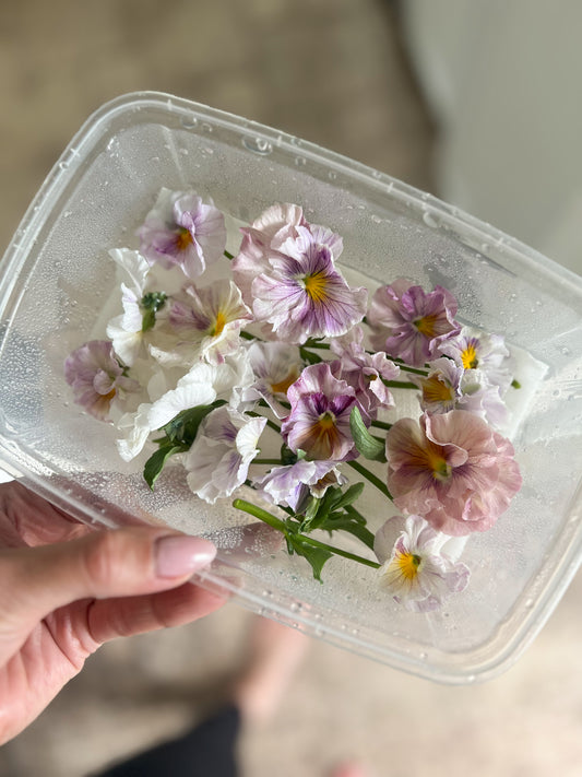 Pansies - Edible flowers