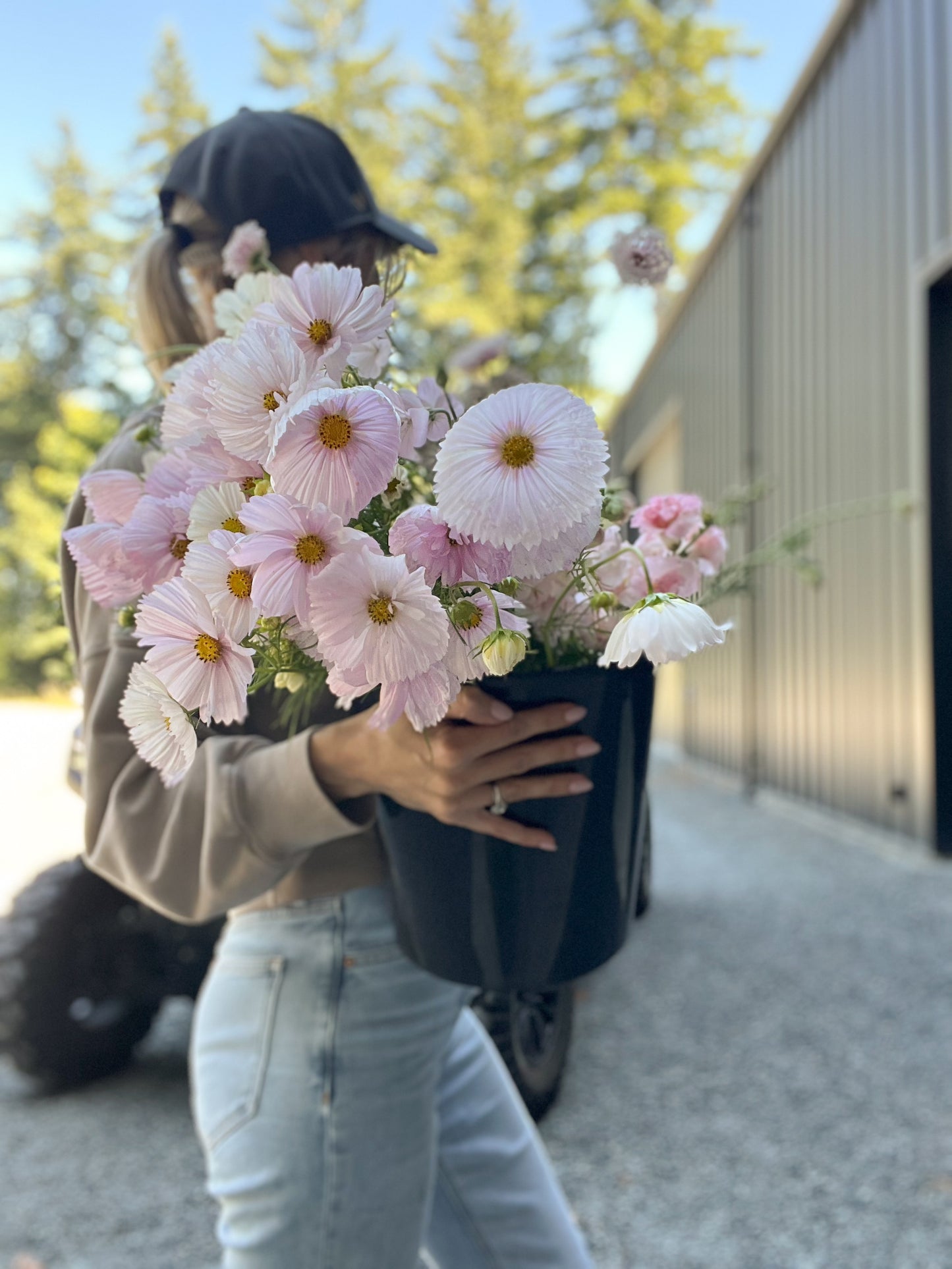 Wholesale Lookbook